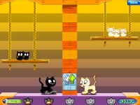 Игра На двоих Про кошек Игра На двоих Про кошек